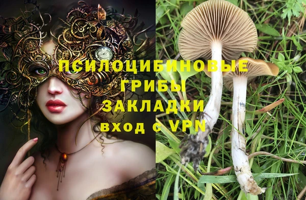 мдма Лиски